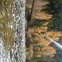 fall09 115